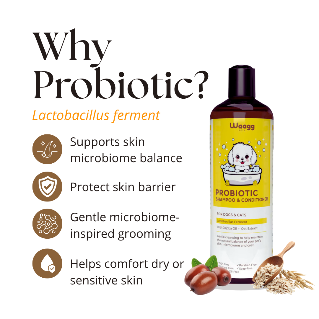 PROBIOTIC PET SHAMPOO & CONDITIONER - Image 2