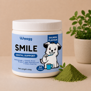 SMILE (Dental Support)