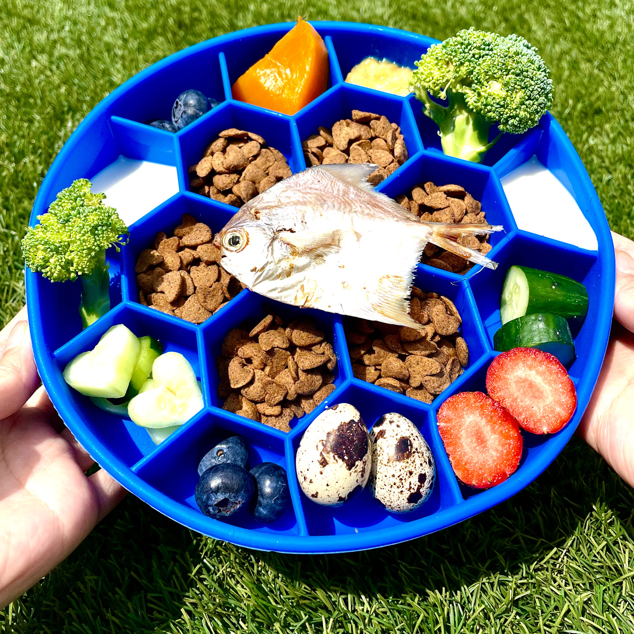 Slow Feeder - Image 3