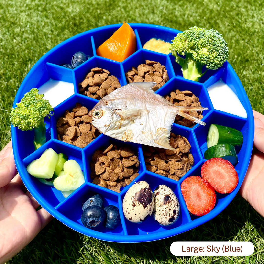 Slow Feeder - Image 2